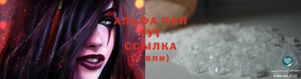 ГАЛЛЮЦИНОГЕННЫЕ ГРИБЫ Белокуриха